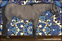 Horse Color:Grullo  and Grullo 