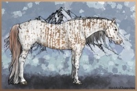 Horse Color:Bay Dun and Bay Dun Varnish