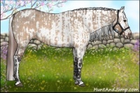 Horse Color:Brown Roan Dun  and Brown Roan Dun Appaloosa 