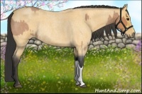 Horse Color:Buckskin Roan  and Buckskin Roan Rabicano 
