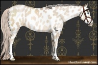 Horse Color:White Spotted Chocolate Palomino Pearl Near Leopard 