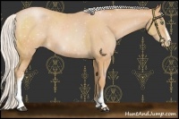 Horse Color:White Spotted Silver Bay Pearl