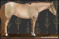 Horse Color:Liver Chestnut Pearl 