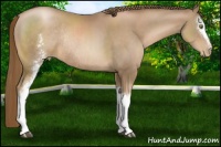 Horse Color:White Spotted Liver Chestnut Pearl Rabicano 