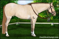Horse Color:Bay Pearl Dun Splash and Bay Roan Pearl Dun