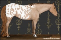 Horse Color:Brown Roan Pearl Blanket Rabicano 