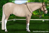 Horse Color:Silver Blue Roan Pearl Rabicano