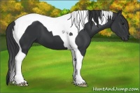 Horse Color:Black Tobiano