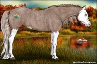 Horse Color:Red Roan Splash 