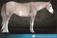 Horse Color:Platinum White Spotted Chocolate Brown Pearl 