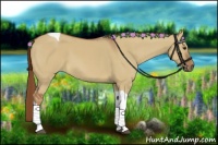Horse Color:Red Dun Tobiano 