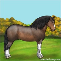 Horse Color:Brown 