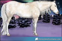Horse Color:White Spotted Chocolate Silver Buckskin Pearl Dun Splash 