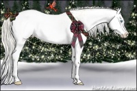 Horse Color:White Spotted Chocolate Silver Sable Cream Champagne Pearl Dun Splash