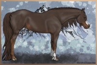 Horse Color:Liver Chestnut 