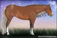 Horse Color:White Spotted Silver Bay Splash 