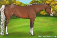 Horse Color:White Spotted Silver Bay Splash