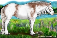 Horse Color:White Spotted Silver Bay Splash 