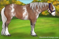 Horse Color:White Spotted Silver Bay Splash 