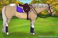 Horse Color:Silver Buckskin Tobiano Rabicano 