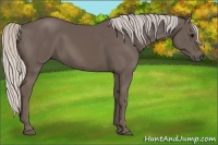 Horse Color:Silver Black 