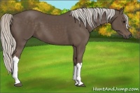 Horse Color:Silver Black 