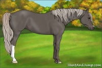 Horse Color:Silver Black 