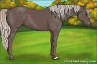 Horse Color:Silver Black 