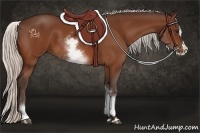 Horse Color:White Spotted Silver Bay Splash 