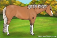 Horse Color:Silver Bay 