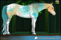 Horse Color:Painted Buckskin Dun Splash Tobiano