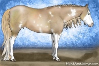 Horse Color:White Spotted Liver Chestnut Pearl Splash 