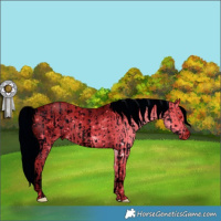 Horse Color:ERROR: UNKNOWN ANOMALY and ERROR: UNKNOWN ANOMALY