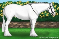 Horse Color:Cremello Sabino  and Cremello Sabino 