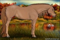 Horse Color:Red Roan 