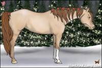 Horse Color:Bay Pearl Dun
