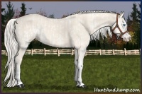 Horse Color:Cremello Sabino  and Cremello Sabino 