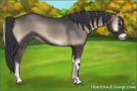Horse Color:Blue Onyx 
