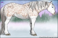 Horse Color:Brown Splash Snowflake Varnish 