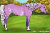 Horse Color:Watercolor White Spotted Silver Bay Dun