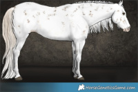 Horse Color:White Spotted Chocolate Palomino Mushroom Sabino 