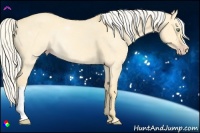 Horse Color:Silver Amber Cream Champagne Dun Rabicano 