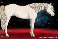 Horse Color:Perlino 