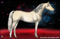 Horse Color:Silver Buckskin Dun 