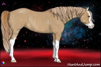 Horse Color:Red Dun Roan Splash Rabicano