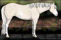 Horse Color:Cremello Sabino  and Cremello Sabino 