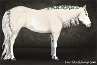 Horse Color:Cremello Sabino  and Cremello Sabino 