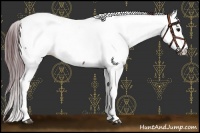Horse Color:Chocolate Black Fewspot 