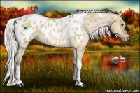 Horse Color:Silver Buckskin Roan Dun Tobiano Blanket