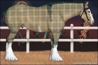 Horse Color:Plaid  White Spotted Liver Red Dun Sabino 